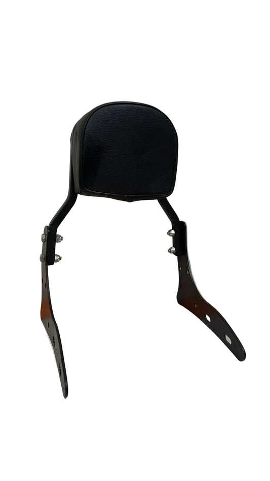 Back Rest With Cushion
