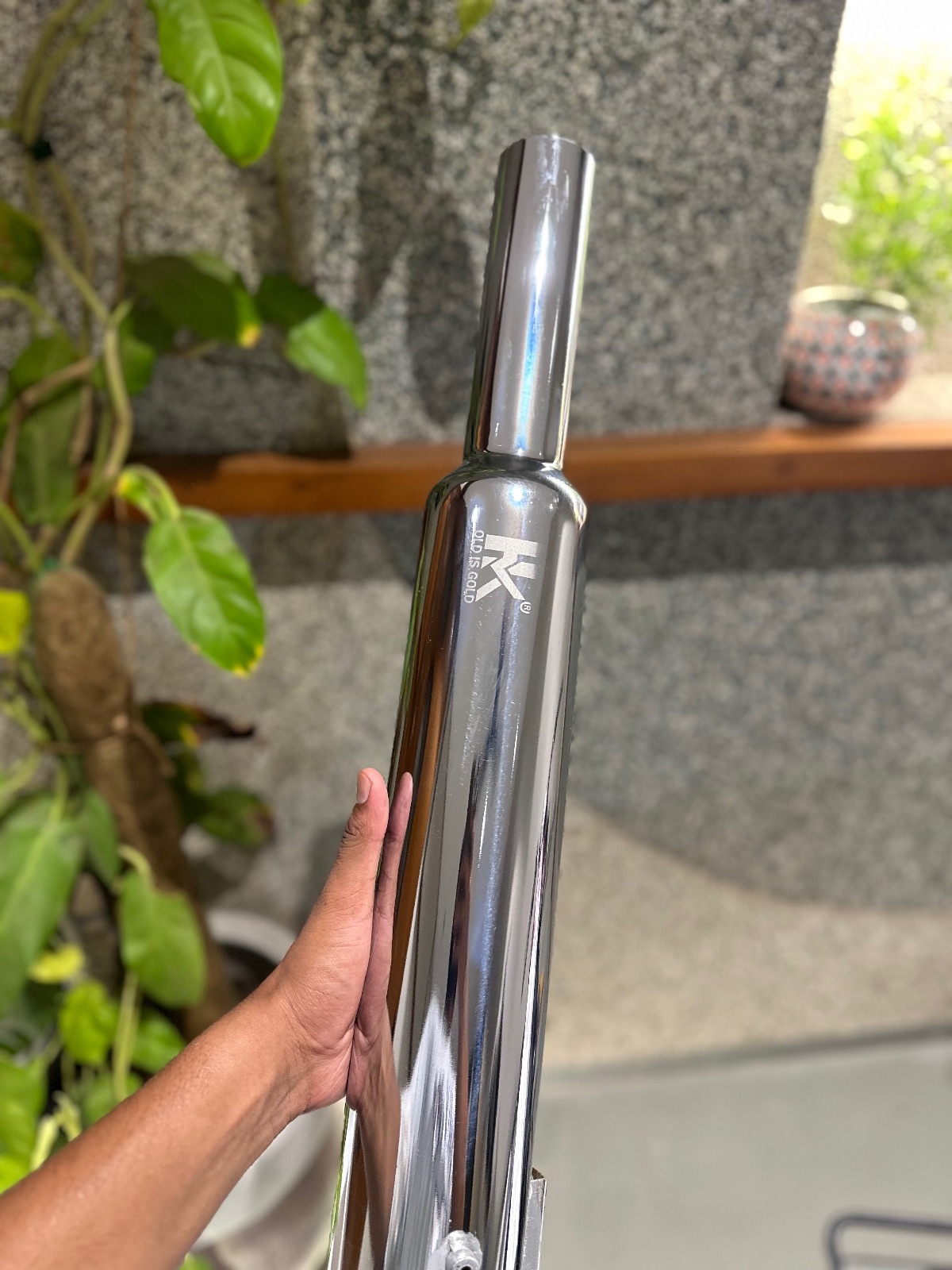 Hk Long Punjab (Big-Mouth)